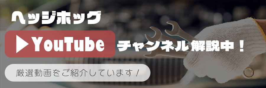 ヘッジホッグyoutubeチャンネル解説中！